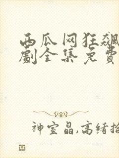 西瓜网狂飙电视剧全集免费播放