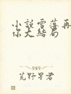 小说雪落再说爱你大结局
