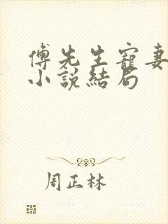 傅先生宠妻无度小说结局