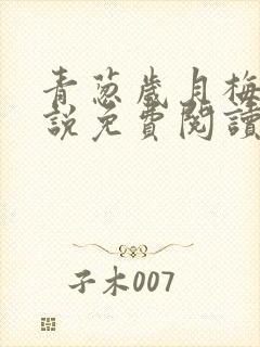 青葱岁月梅姨小说免费阅读