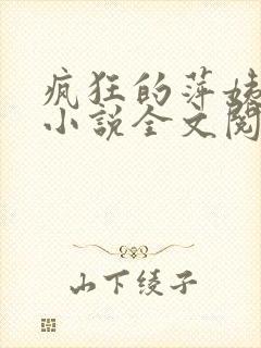 疯狂的萍姨王强小说全文阅读