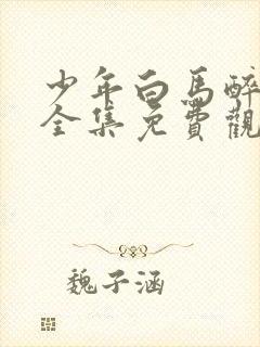 少年白马醉春风全集免费观看15集封面