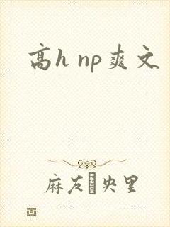 高h np爽文