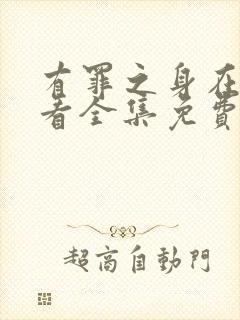 有罪之身在线观看全集免费高清