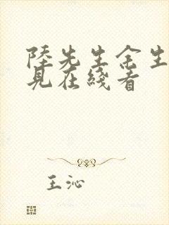 陆先生余生不再见在线看