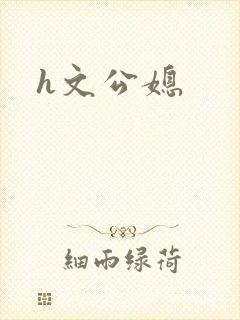 h文公媳封面