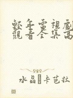 轻年电视剧免费观看全集高清封面