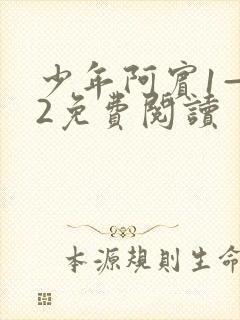 少年阿宾1—72免费阅读