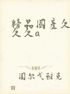 精品国产久久久久久a封面