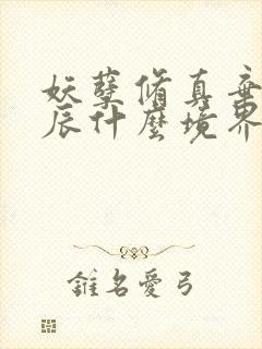 妖孽修真弃少叶辰什么境界封面