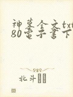 神墓全文txt80电子书下载