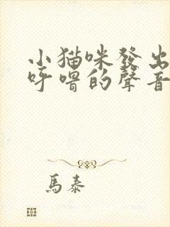 小猫咪发出呼噜呼噜的声音怎么回事