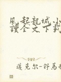 风起龙城小说阅读全文下载