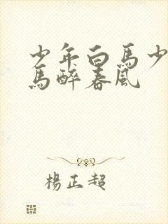 少年白马少年白马醉春风