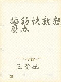 插的快就想射怎么办封面