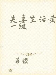 夫妻生活黄色片一级