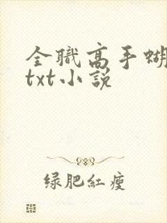 全职高手蝴蝶蓝txt小说