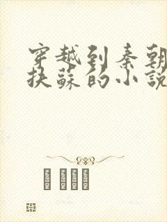 穿越到秦朝忽悠扶苏的小说