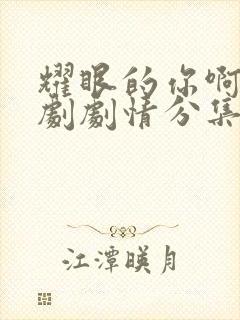 耀眼的你啊电视剧剧情分集介绍