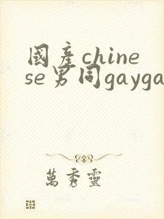 国产chinese男同gaygay网站封面
