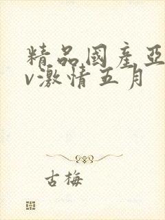 精品国产亚洲av激情五月