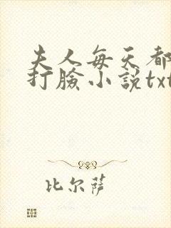 夫人每天都在线打脸小说txt