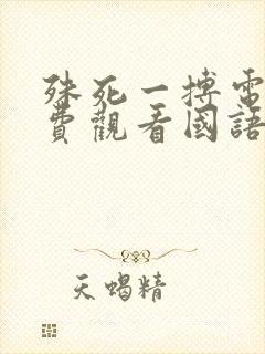 殊死一搏电影免费观看国语