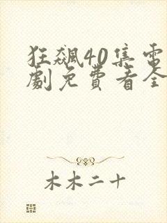 狂飙40集电视剧免费看全集