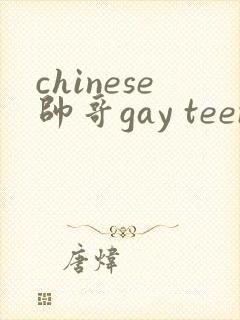 chinese帅哥gay teen