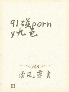 91碰porny九色