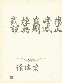 武炼巅峰杨开小说无删减正版在线阅读