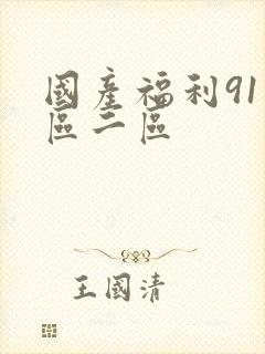国产福利91一区二区