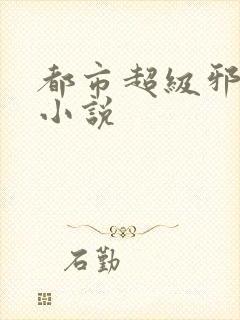 都市超级邪医 小说