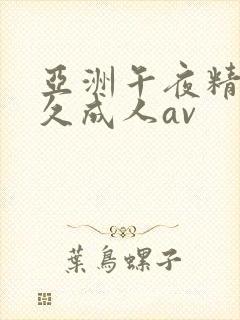 亚洲午夜精品久久成人av