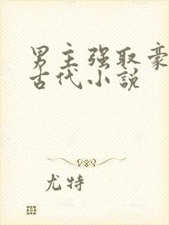 男主强取豪夺的古代小说封面