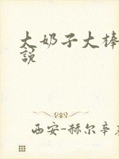 大奶子大棒子小说