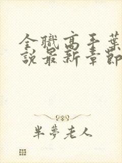 全职高手叶修小说最新章节下载