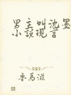 男主叫沈墨白的小说现言