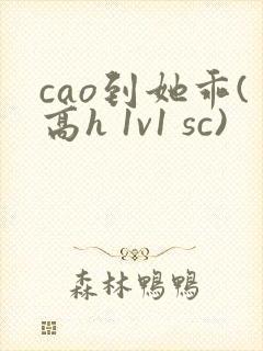 cao到她乖(高h 1v1 sc)