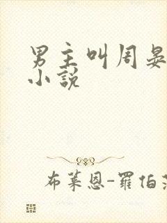 男主叫周晏淮的小说封面