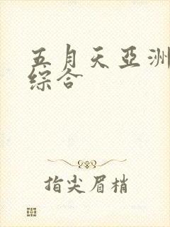 五月天亚洲婷婷综合