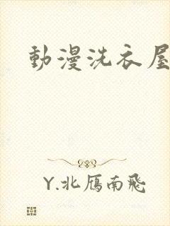 动漫洗衣屋封面