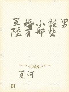 军婚小说男主姓陆有哪些