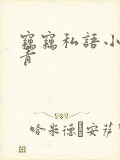 窃窃私语小说赵青