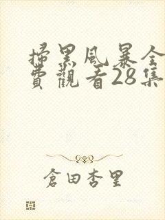 扫黑风暴全集免费观看28集封面