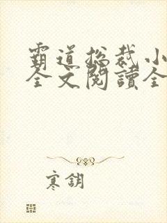 霸道总裁小娇妻全文阅读全文