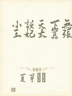 小说天下无双:王妃太嚣张更新封面