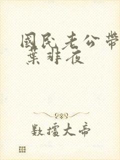 国民老公带回家 叶非夜