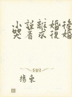 小说离婚后前夫哭着求复婚免费阅读封面