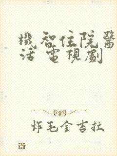 机智住院医生生活 电视剧